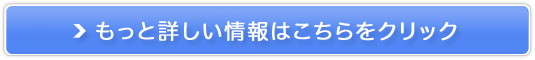 I^NlɊYkyƂ獥z̔TCg